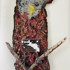 Owl